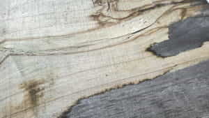 Bielik Czyszczenie i wybielanie drewna - bielik do drewna00